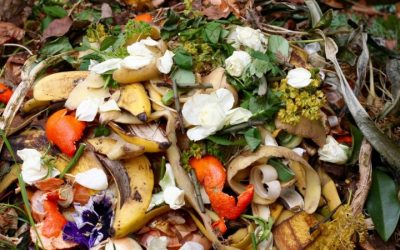 Don’t Waste Food…. Controlling Food waste
