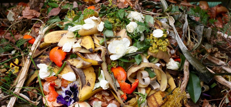 Don’t Waste Food…. Controlling Food waste